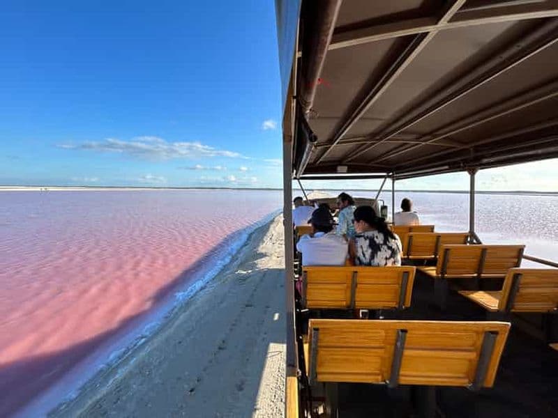 Billet Las Coloradas : Safari dans les lacs roses