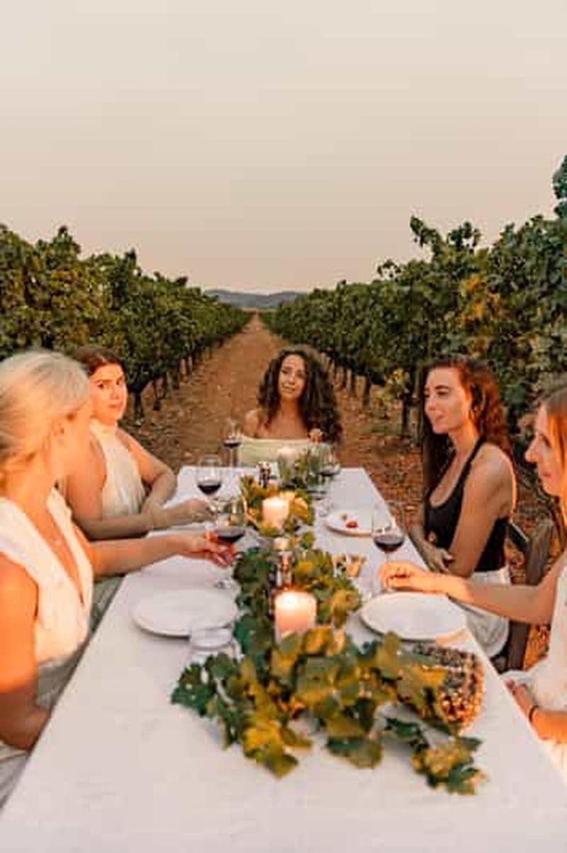 Billet IBIZA : dégustation de vin privée et tapas + huile d'olive et prise en charge