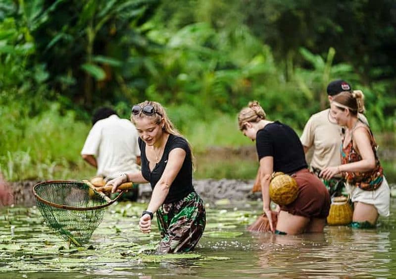 Billet Ninh Binh : Plantation de riz et pêche en panier