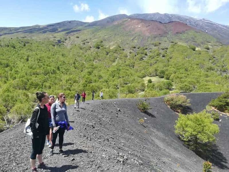 Au départ de Taormina : Randonnée matinale d'une demi-journée sur l'Etna
