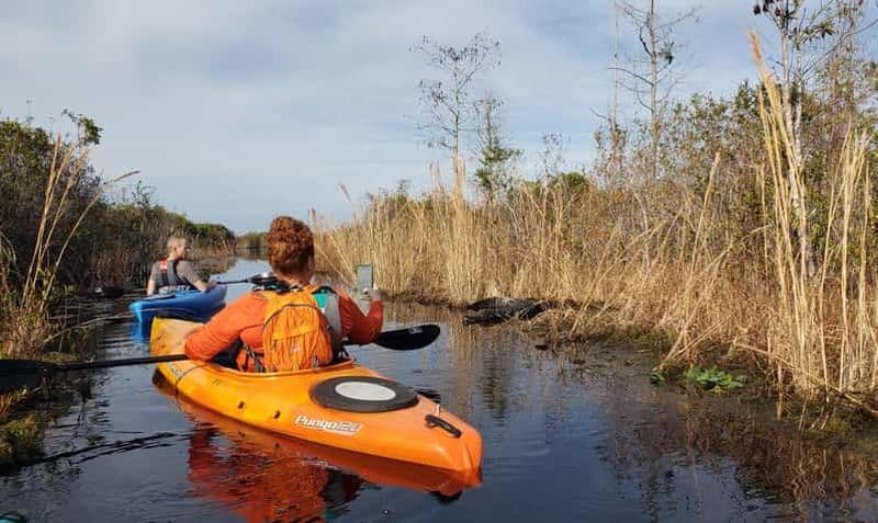 Marais d'Okefenokee : Visite guidée en kayak avec un naturaliste local