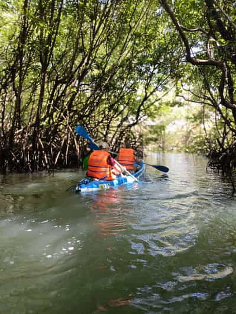 Bali:Mangrove Kayak conservation des tortues Uluwatu en option