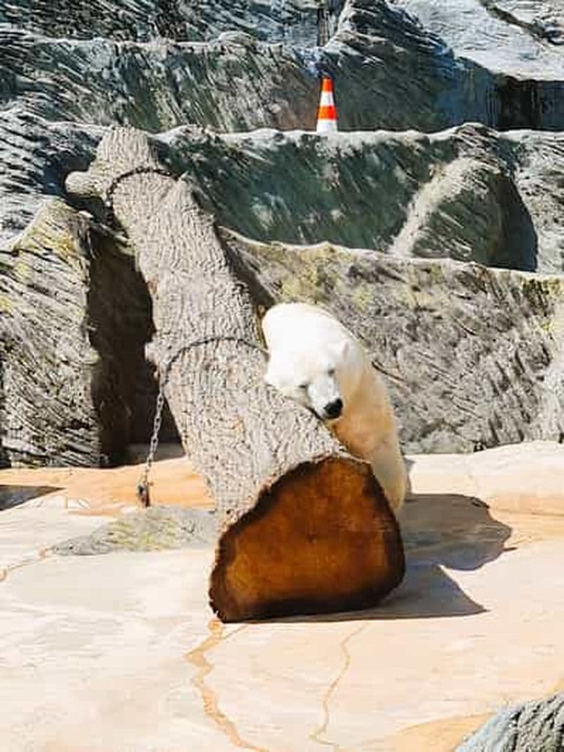 Prague : L'audioguide du zoo de Prague avec billet électronique