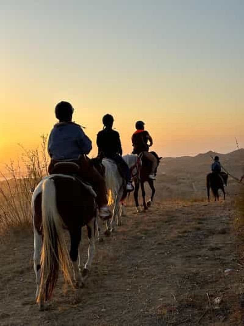 Billet Expérience romantique avec des chevaux dans la réserve naturelle WWF