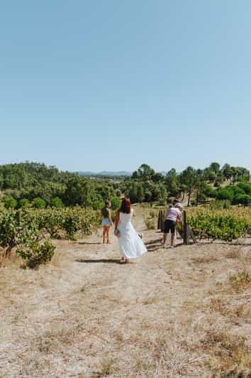 Tomar : Déjeuner dans les vignobles