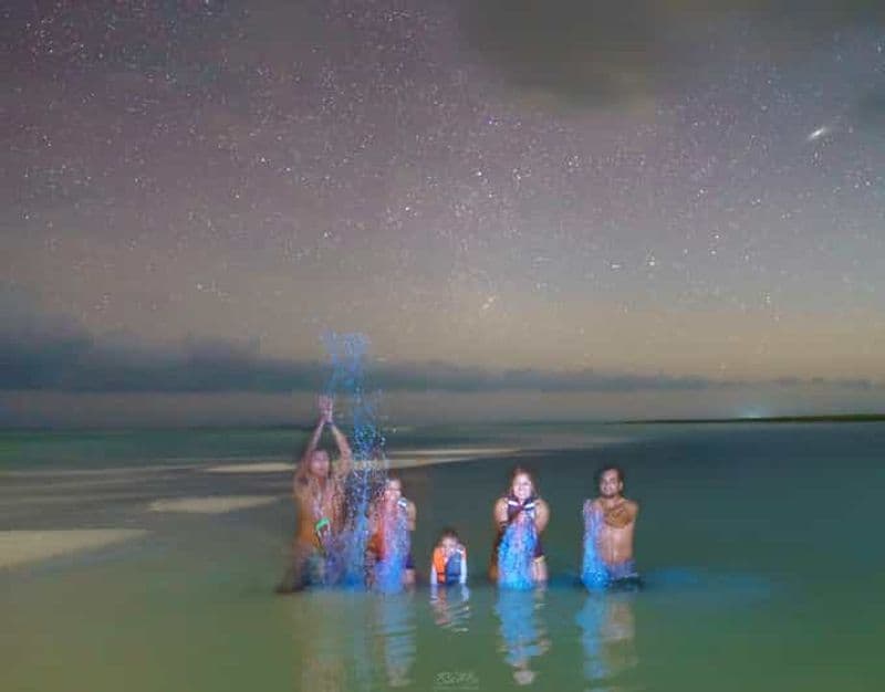 Holbox : Bioluminescence en kayak et observation sidérale.