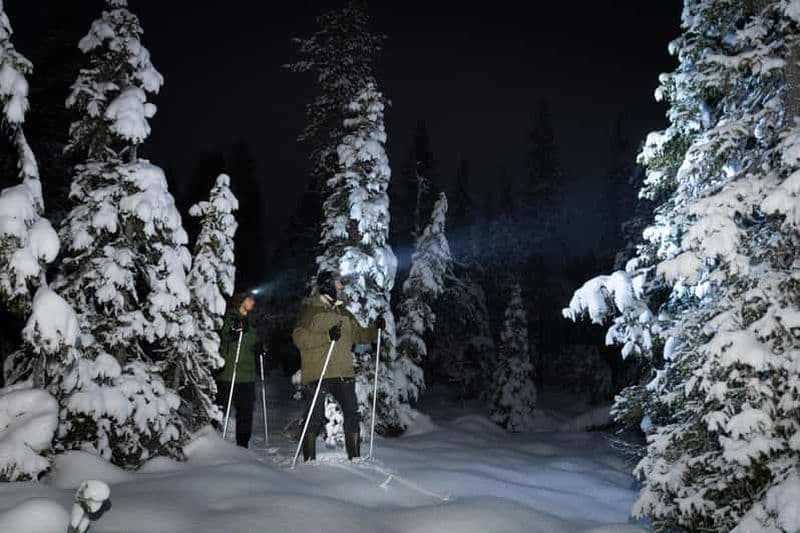 Randonnée à ski en soirée dans la nature sauvage - Très petit groupe