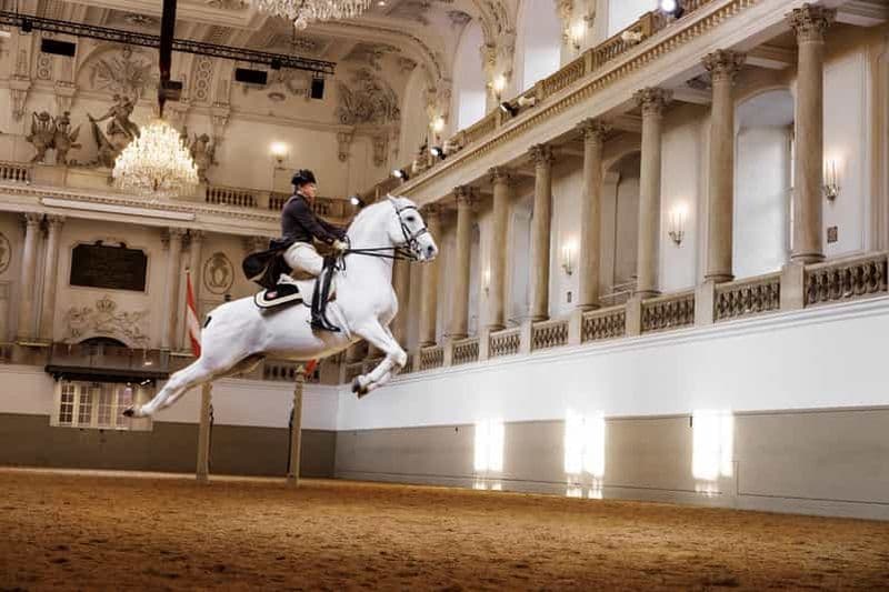 Performance des Lipizzans à l'école d'équitation espagnole