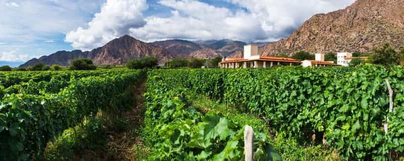 4 jours à Salta : vallée de Humahuaca et vignobles de Cafayate
