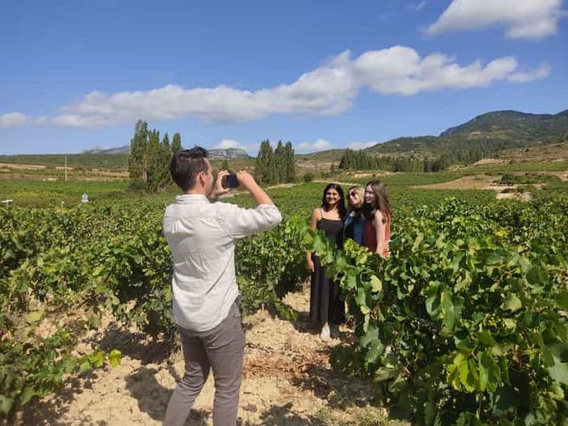 Depuis Pampelune ou Logroño : Excursion d'une journée dans les vignobles de la Rioja avec dégustation