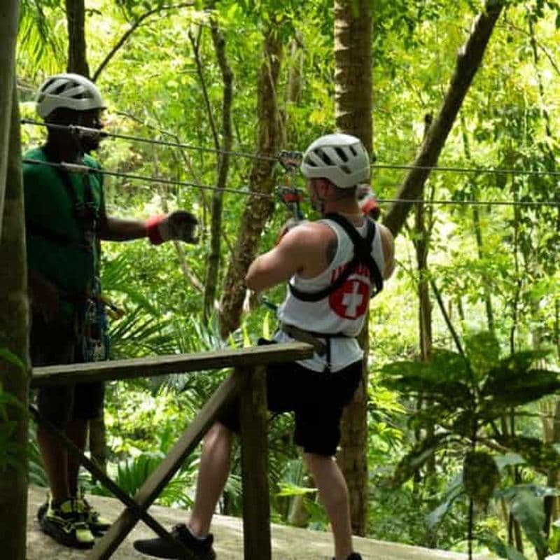 Sainte-Lucie : Safari Jeep et aventure en zipline