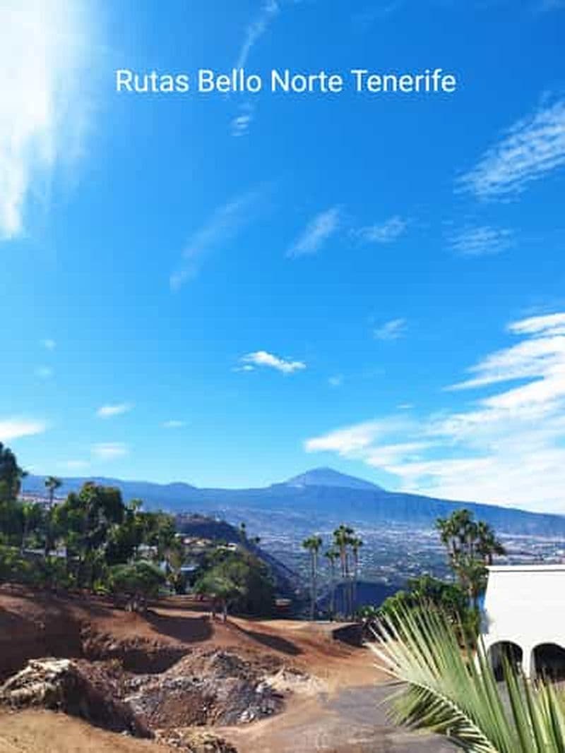 Billet Visite guidée à pied à La Orotava 1h30, Tenerife