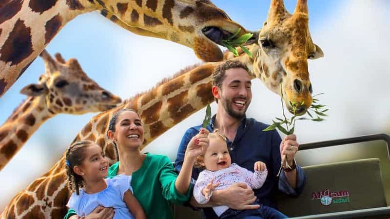 Parc Safari Africam de Puebla, vivez une aventure inoubliable !