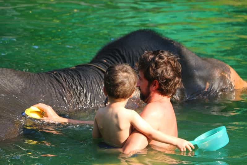 Billet Khao Lak : Rafting, bain d'éléphant et visite du centre des tortues de mer