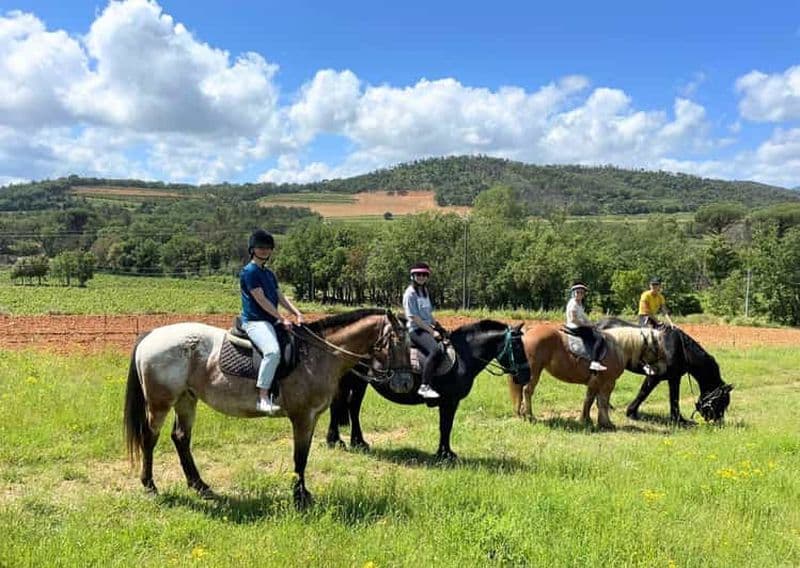 Grimaud : Randonnée à cheval et dégustation de vin dans la forêt des Maures