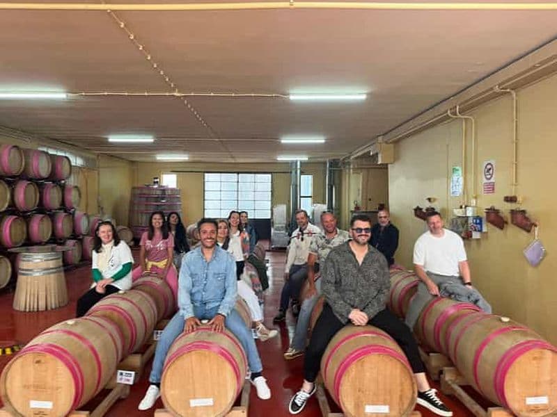 Billet Brindisi : dégustation de vins dans la cave