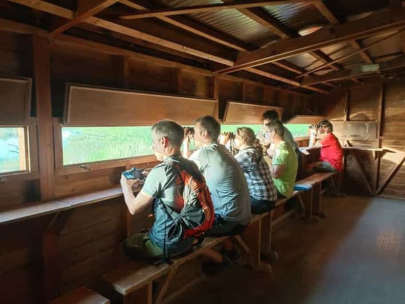 Tarragone : Visite privée d'observation des oiseaux dans le delta du sud