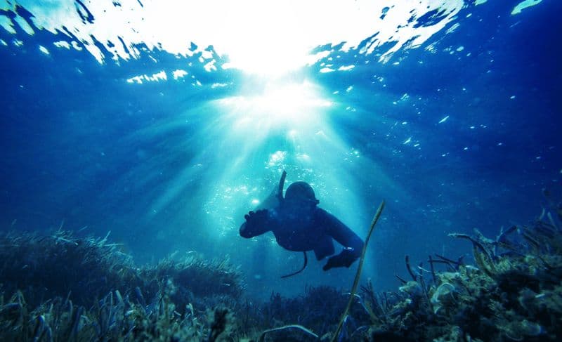 Billet Gili Trawangan : pêche au harpon avec l'expérience Catch & Cook