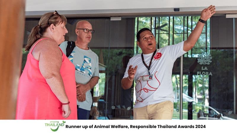 Billet Khao Lak Eco-Safari : Éléphants, musée du tsunami et tortues