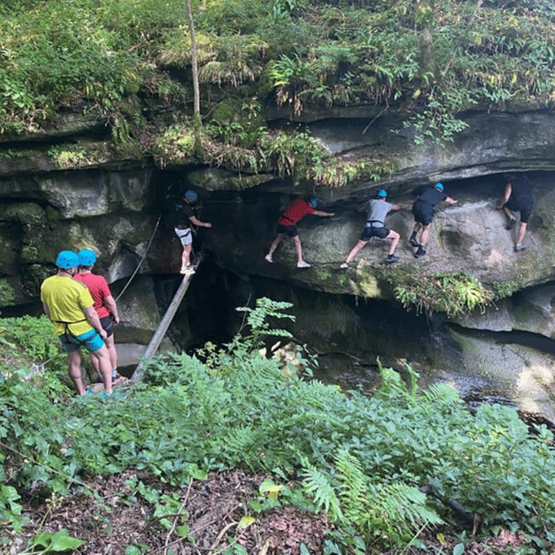 Harrogate : Via Ferrata High Wire & Abseiling Experience
