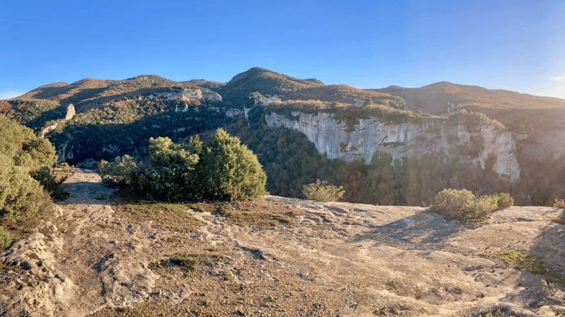 Luberon : randonnée à pied thématique apicole avec guide local