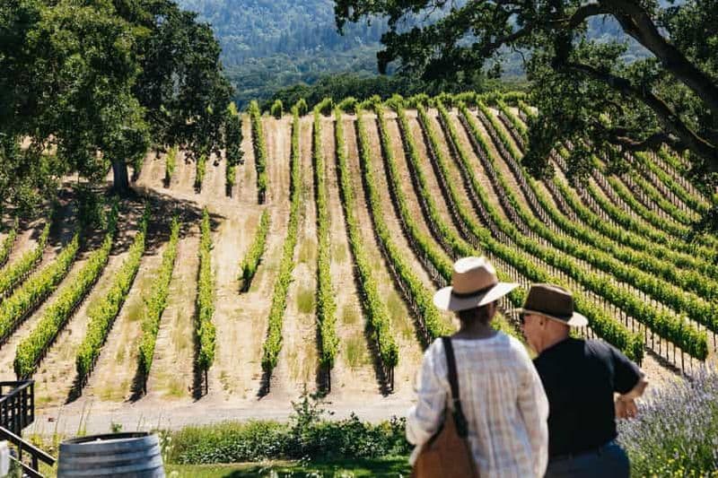 San Francisco : visite des vignobles de Napa et de la vallée de Sonoma