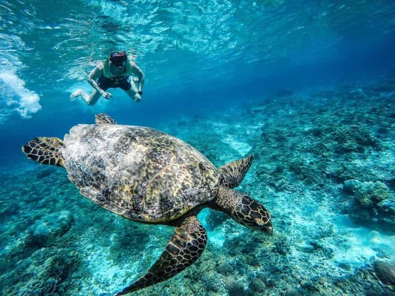 Billet Depuis Lombok : excursion de plongée avec tuba aux îles Gili