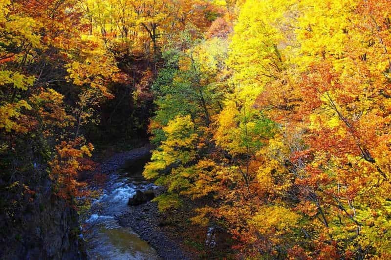 Billet Découvrez Sapporo : Bouddha emblématique, musée de la bière et ville de Jozankei