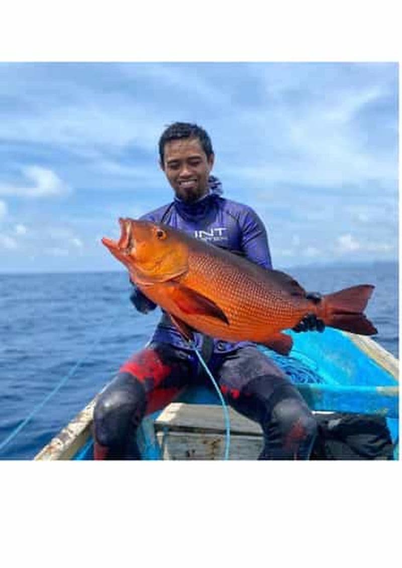 Îles Gili : Pêche au harpon