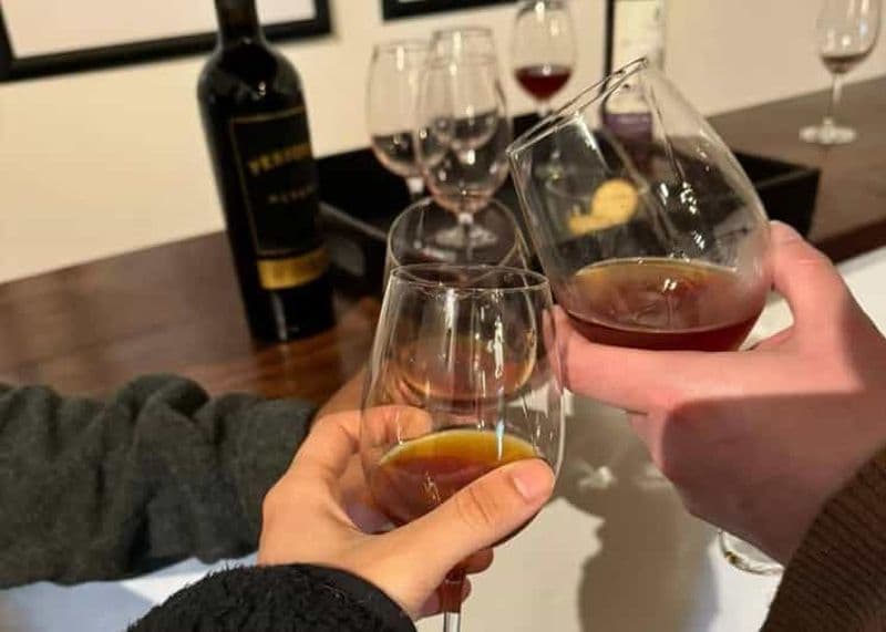 Sesimbra : Croisière de dégustation de vin avec vue sous-marine