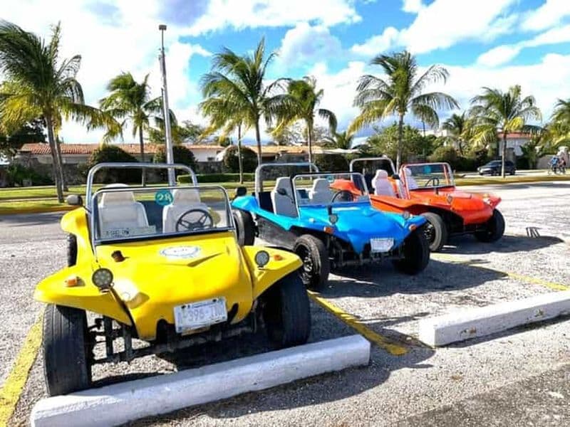 Cozumel : Tour de l'île en Jeep classique ou en buggy à Punta Sur