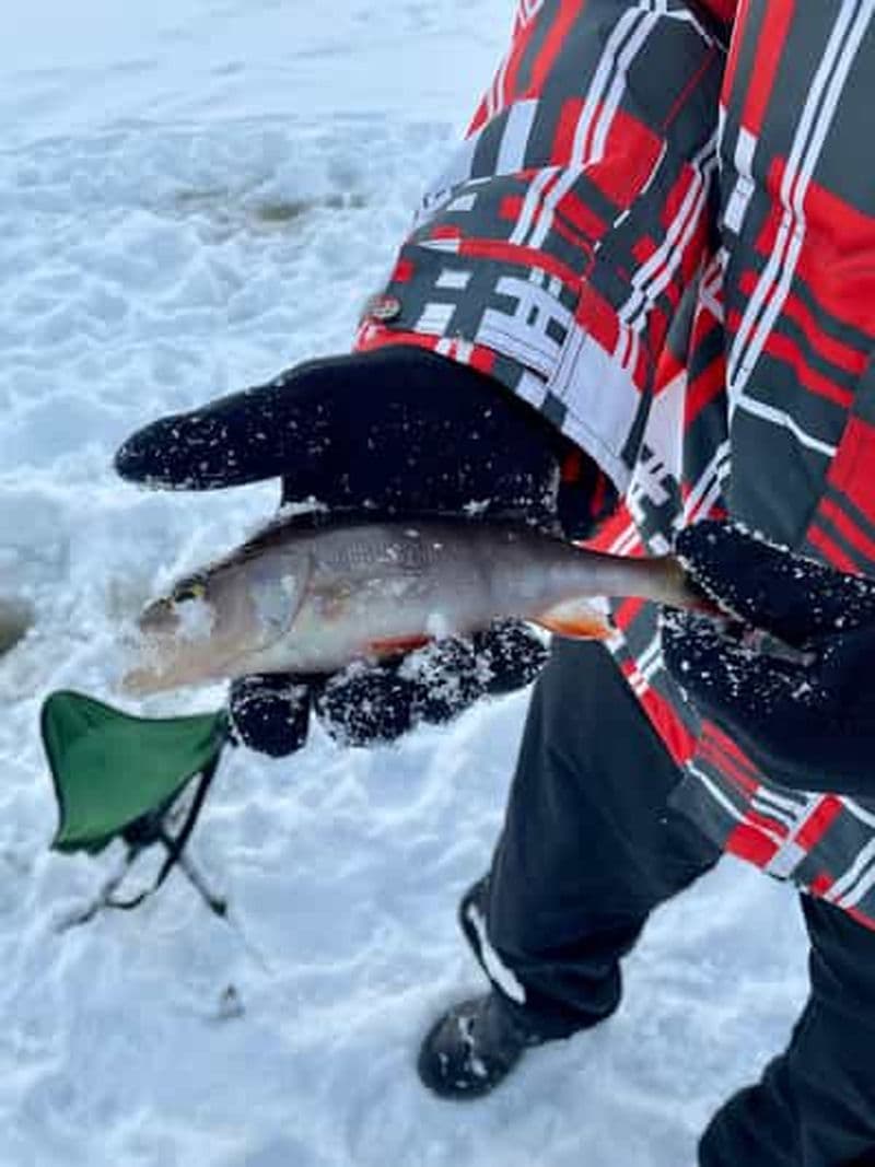 Rovaniemi : expérience de pêche sur glace avec barbecue