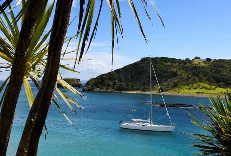 Baie des Îles : Excursion à la voile d'une journée avec escale sur une île