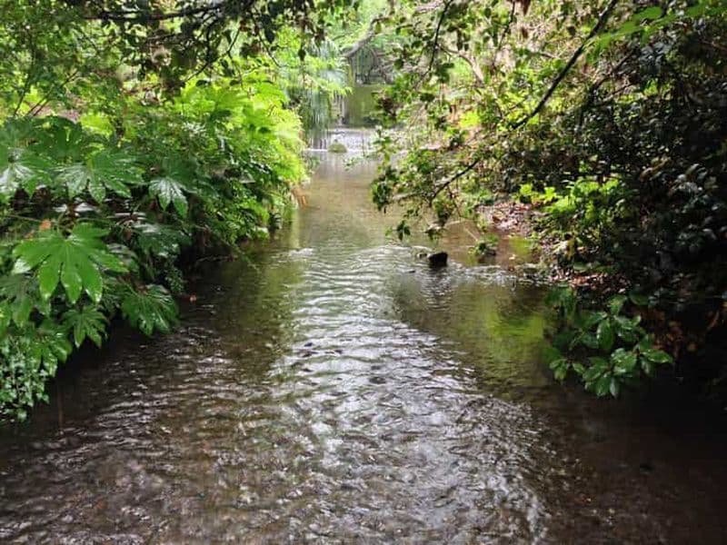 Tokyo : promenade au bord de la rivière Kurome et spa japonais