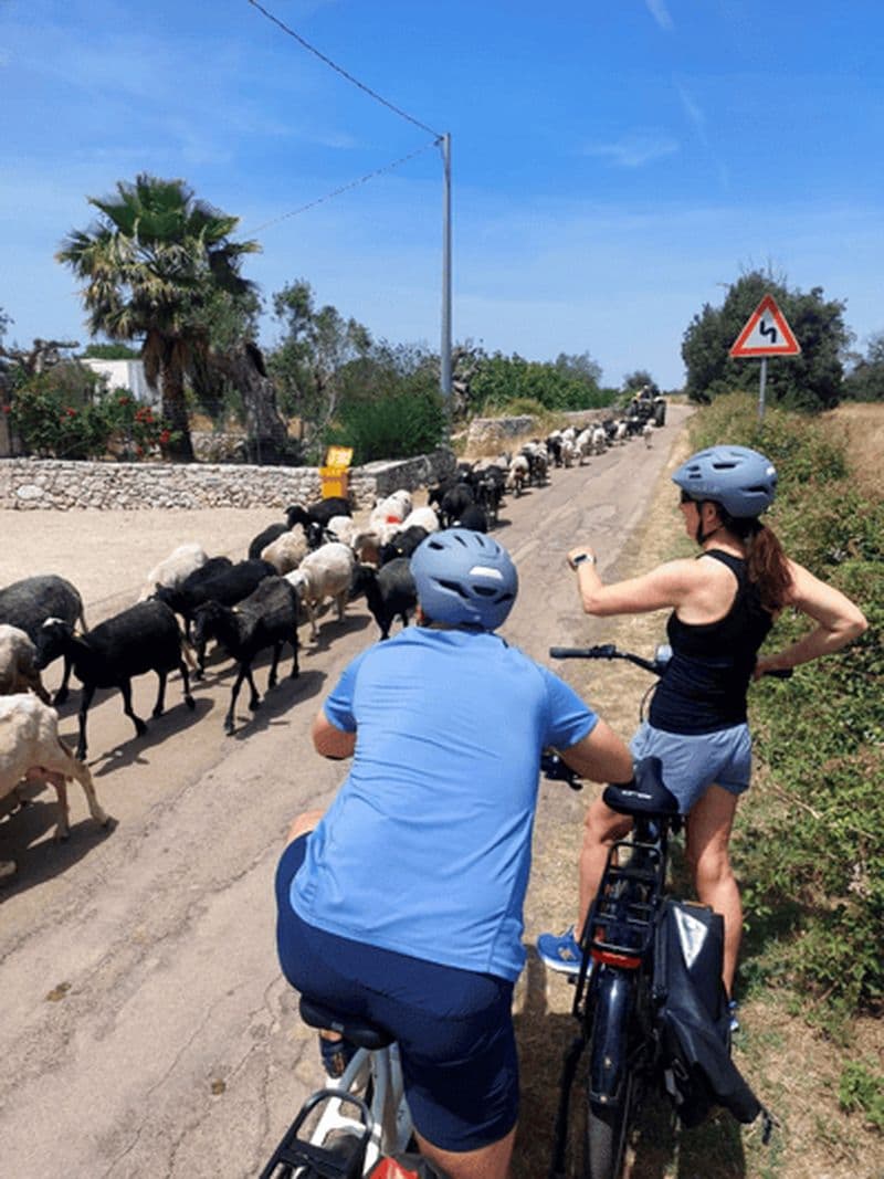 Billet Lecce : visite en vélo électrique du moulin à huile de Galatina et dégustation de vin + taxi