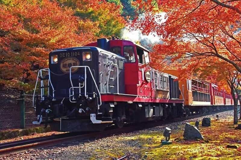 Billet Kyoto : train romantique de Sagano et croisière sur la rivière Hozugawa
