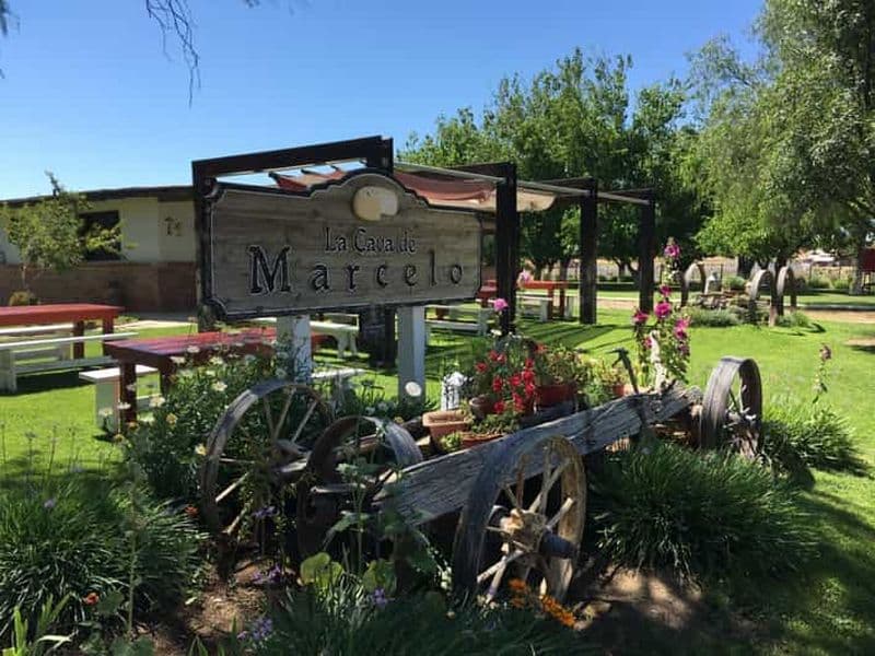 Valle de Guadalupe : Visite des vins et fromages
