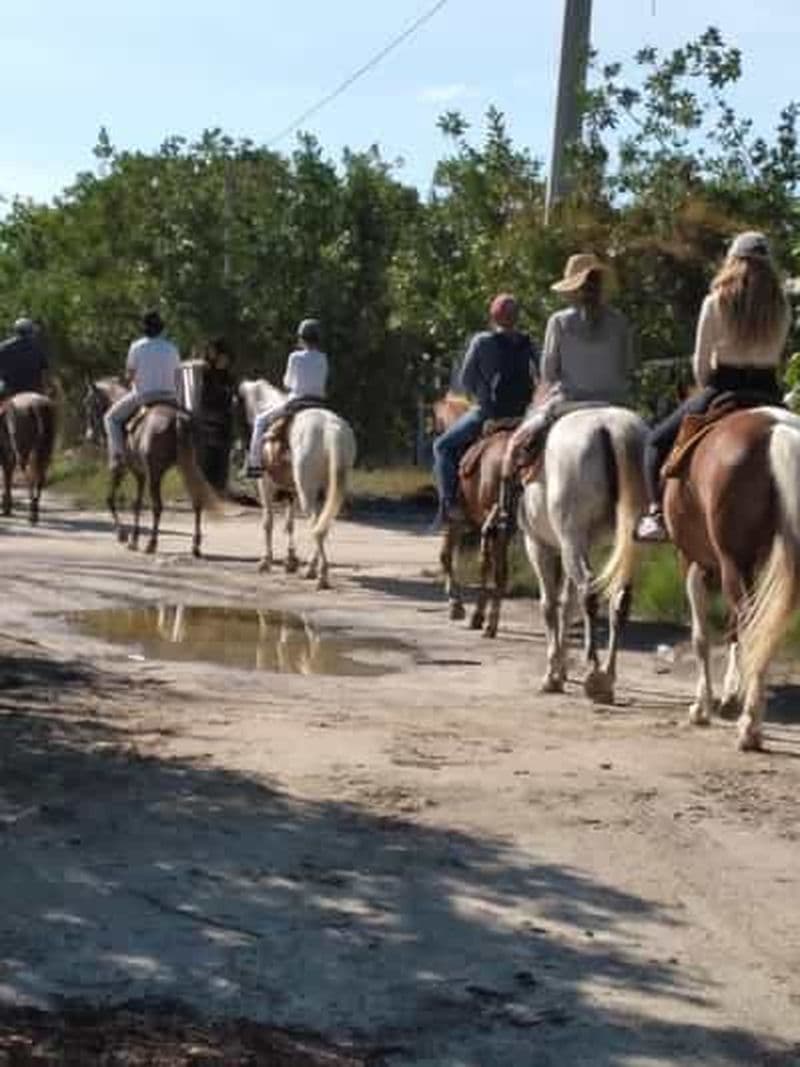 Randonnée à cheval en groupe sur l'île de Holbox, Quintana Roo