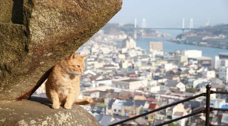 Depuis Hiroshima/Fukuyama : visite en bus d'une journée à Onomichi Tomonoura