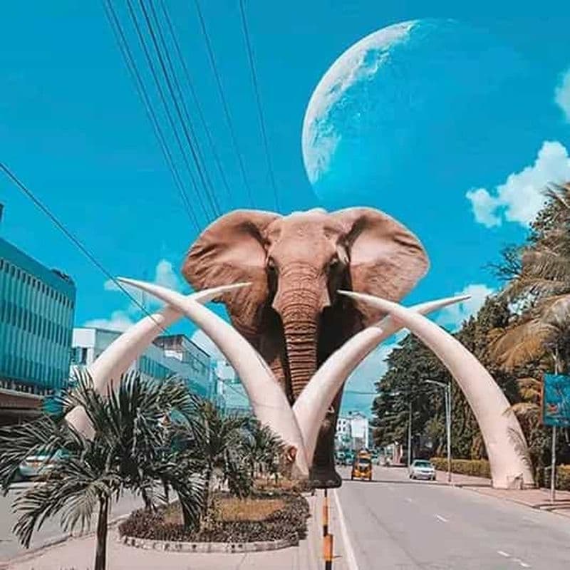Billet Mombasa : Visite pied à pied du patrimoine de la ville avec promenade en Tuk Tuk.
