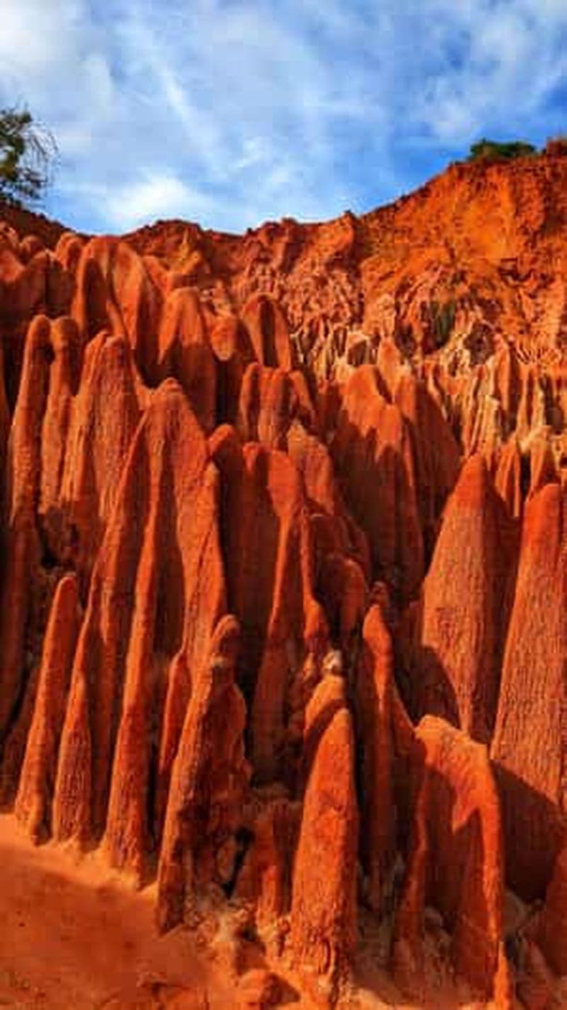Visite des Tsingy rouge : excursions pour bateau de croisière à Antsiranana