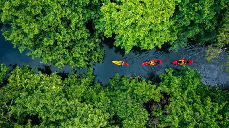 Billet Maurice : Visite guidée en kayak sur la rivière Tamarin