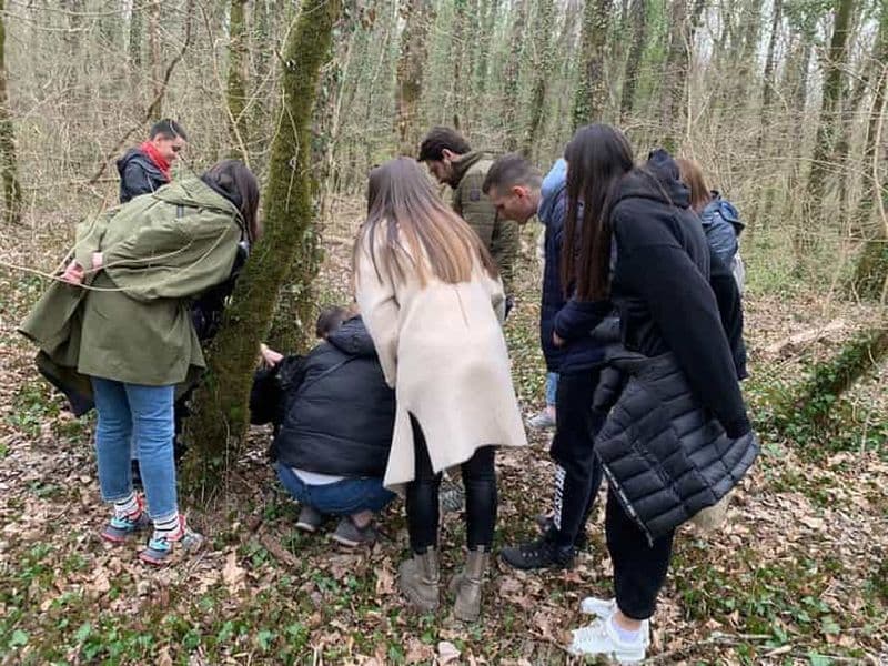 Billet Livade: visite guidée à pied de la chasse aux truffes