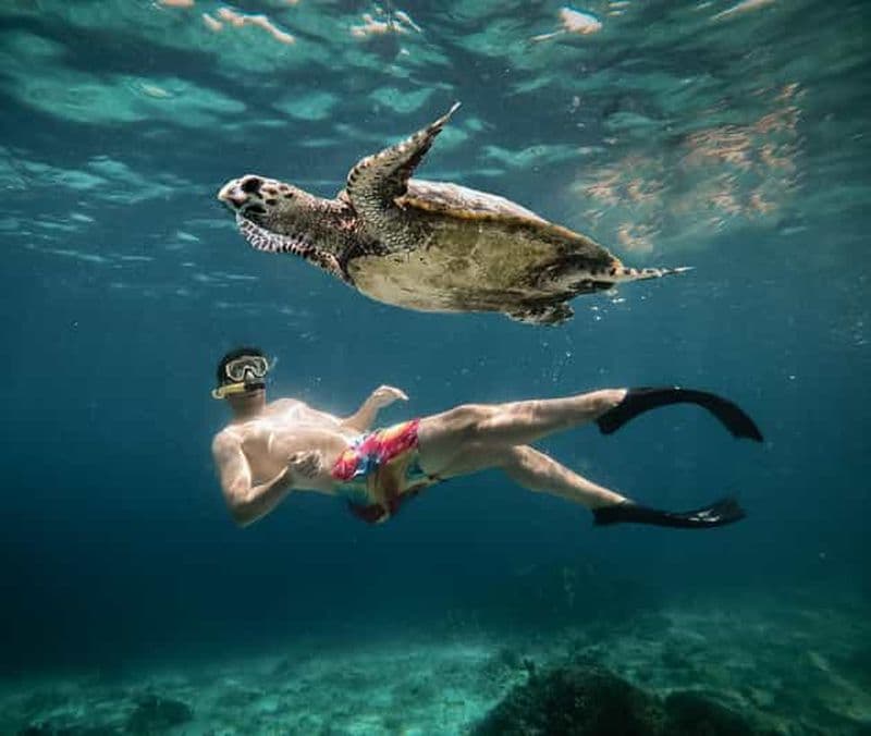Depuis Gili Air : Plongée en apnée avec les tortues et la statue sous-marine