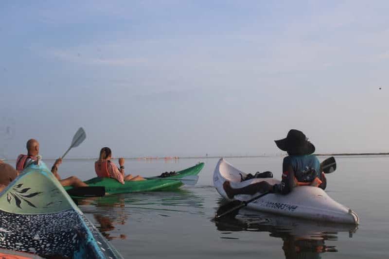 Holbox : excursion guidée en kayak au lever ou au coucher du soleil dans la réserve de mangroves