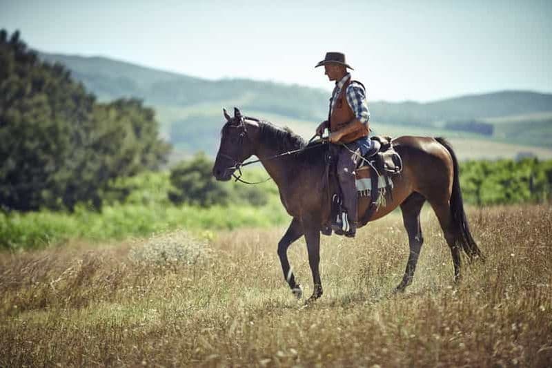 Agadir : Randonnée à cheval en forêt et dans les dunes de sable