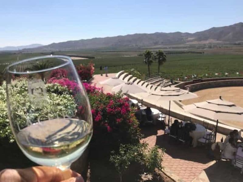 Depuis Tijuana : Visite privée des vignobles de Valle de Guadalupe