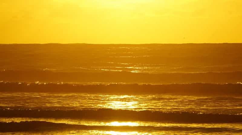 Billet Au départ d'Essaouira : 2h de randonnée à cheval avec coucher de soleil