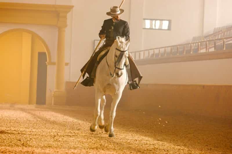 Jerez de la Frontera : comment dansent les chevaux andalous