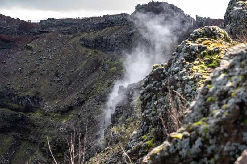 Depuis Naples : Pompéi et le Vésuve Excursion guidée d'une journée avec déjeuner